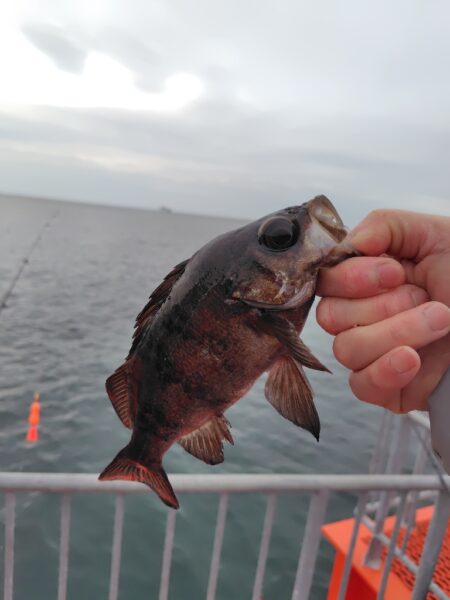 久しぶりの須磨