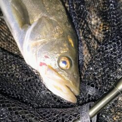 20:10からスイッチOFF⋯