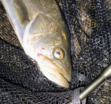 20:10からスイッチOFF⋯