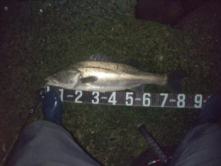 ランカー届かず