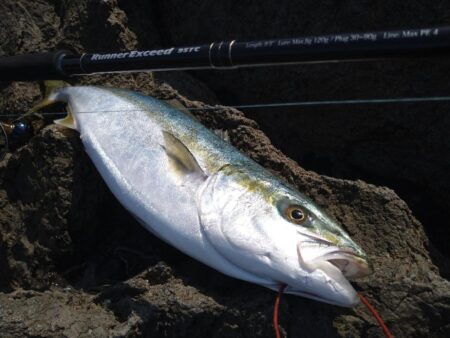 今年度初ロックショア