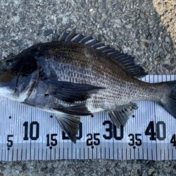 イチノ兄弟、釣果！