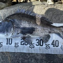 イチノ兄弟、釣果！