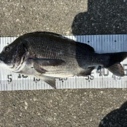 イチノ兄弟、釣果!