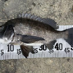 イチノ兄弟、釣果！