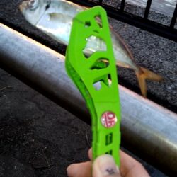 そろそろアジが釣れるかも