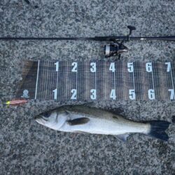 バチ抜けスタート！