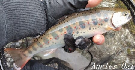 引原本流で良型連発！