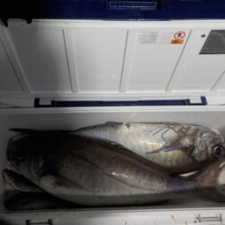 完全フカセ第1戦〜倉丸〜