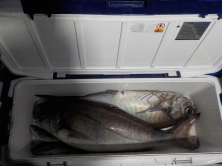 完全フカセ第1戦〜倉丸〜