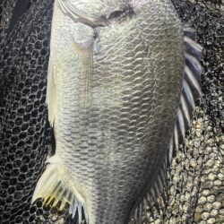 河川工事で移動したかな🤔