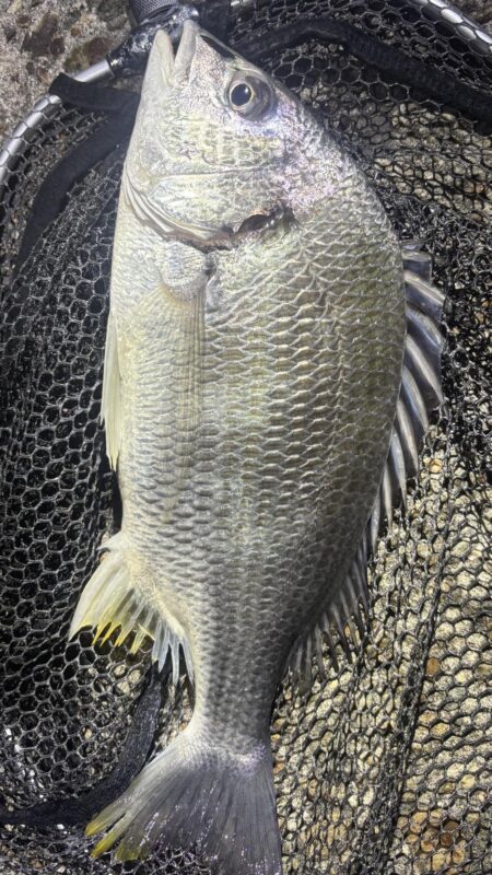 河川工事で移動したかな🤔