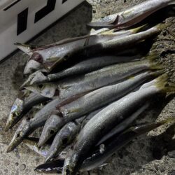 そろそろ終わりかな🤔