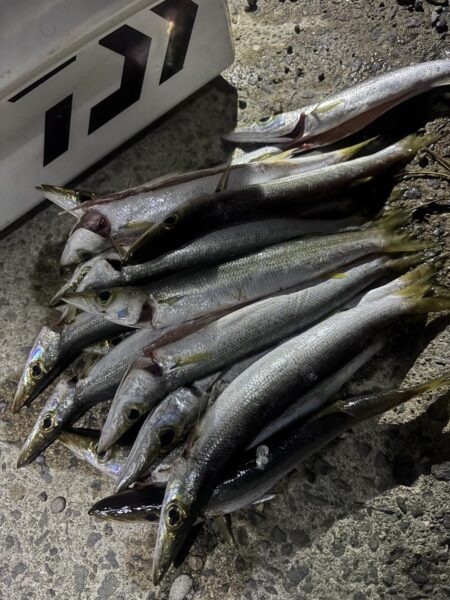 そろそろ終わりかな🤔