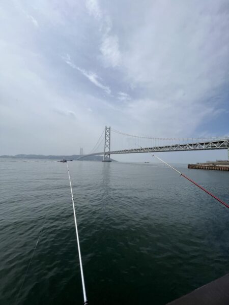 花見カレイ失敗。ポカポカの日