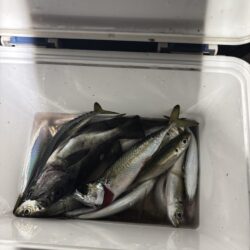 たかたかの釣り日記