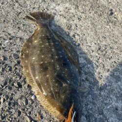 マルイチ君出撃