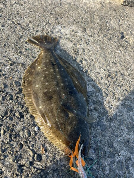 マルイチ君出撃