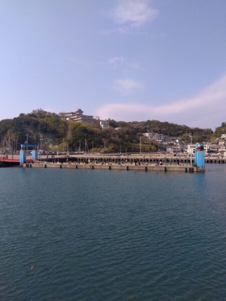 チヌふかせ釣り