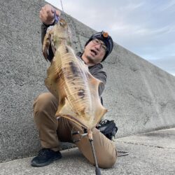 春イカ始まってます