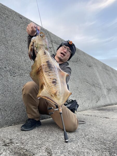 春イカ始まってます