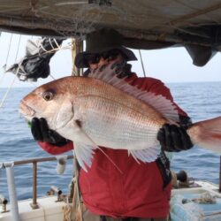 玄界灘の真鯛状況玄界灘です