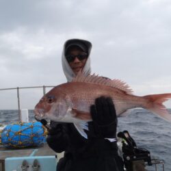 幸真丸はタイを求めて　<゜)))彡　…