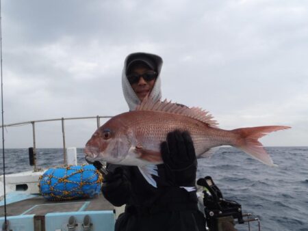 幸真丸はタイを求めて　<゜)))彡　…