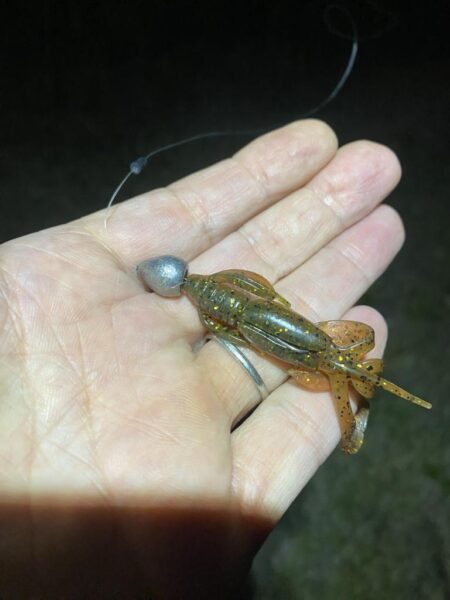 淀川ブリームゲーム