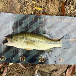 もうアフター💦