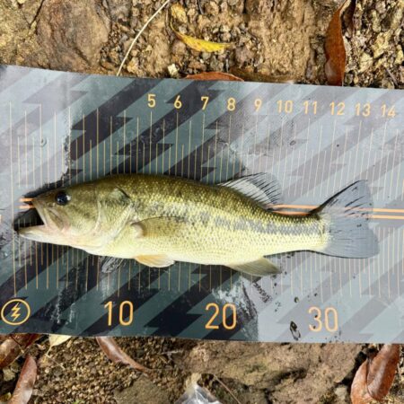 もうアフター💦