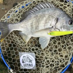 1年以上ぶりのトップ！