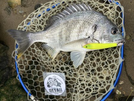 1年以上ぶりのトップ！