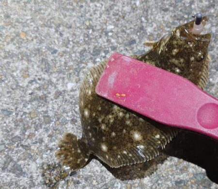 ようやく今年初メバリング