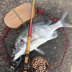 ヘチって来ました