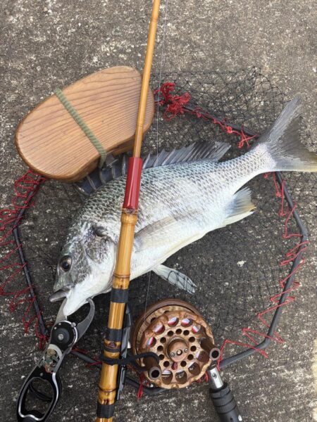 ヘチって来ました