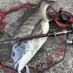 ヘチってきました