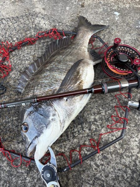 ヘチってきました