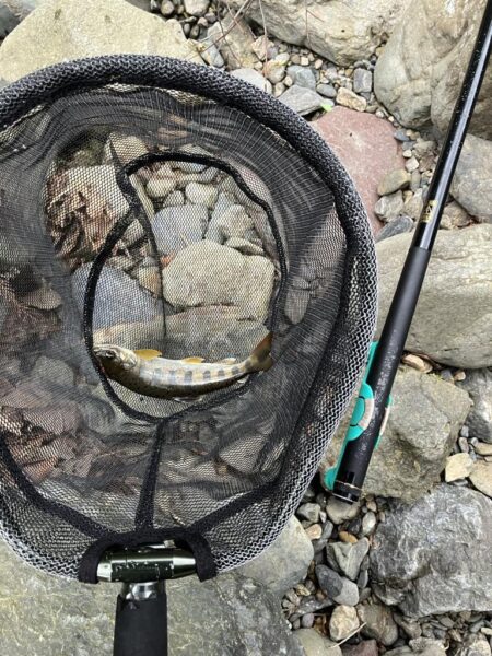 晴天無しでも釣果爆発