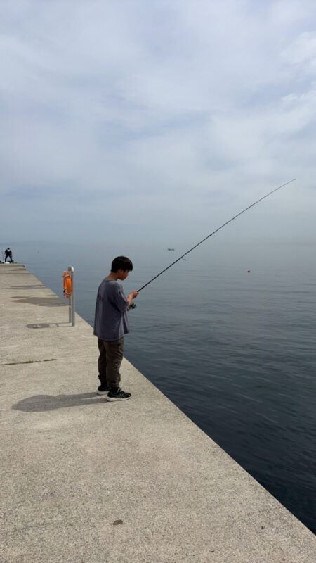 アジを求めて。