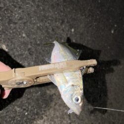 劇シブアジング