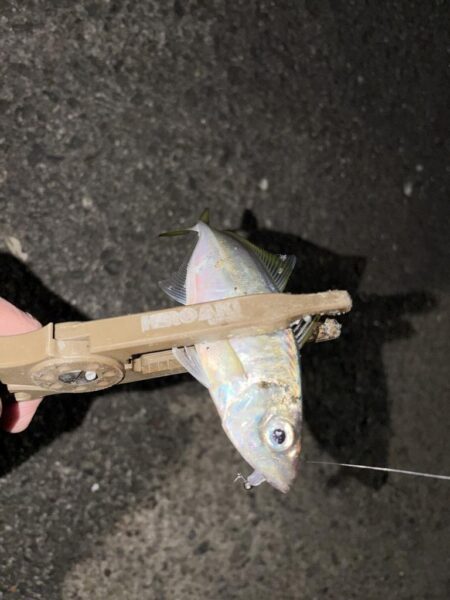 劇シブアジング