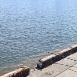 バチ抜けしてます