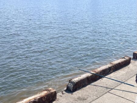 バチ抜けしてます