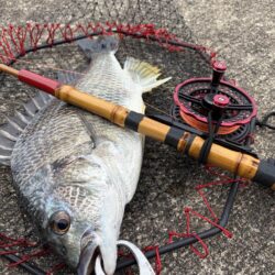 ヘチって来ました