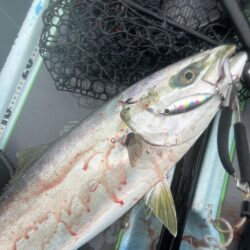 supフィッシング