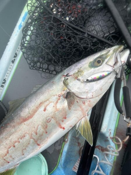 supフィッシング