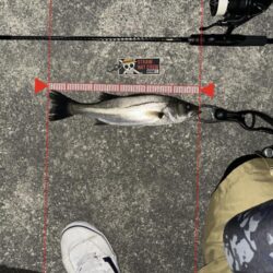 悶絶からの解放