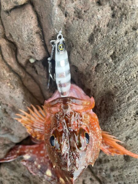 ロックショアゲーム