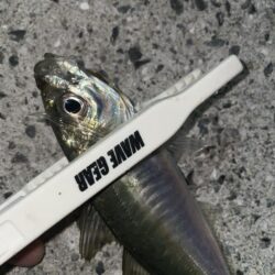 爆風の中ライトゲーム